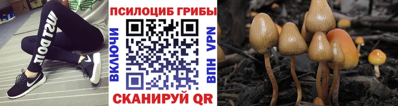 Псилоцибиновые грибы ЛСД Мончегорск