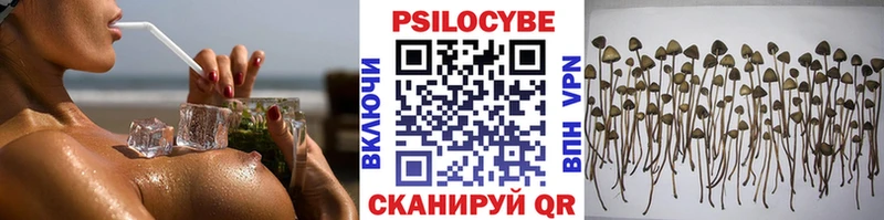 Псилоцибиновые грибы ЛСД  кракен маркетплейс  Мончегорск  как найти закладки 